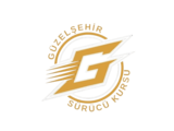 guzelsehirsurucukursu.com.tr